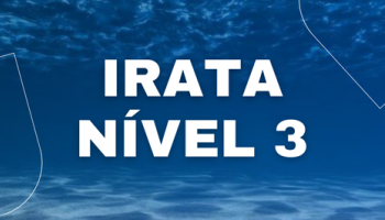 Treinamento de Acesso por Cordas Irata Nível 3.1